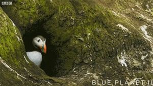 Meet your Posher, Eileen